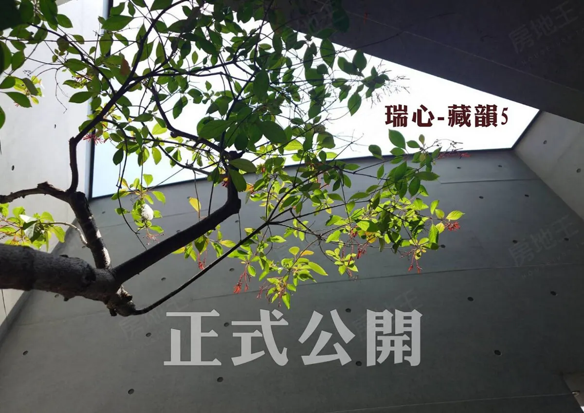 藏韻-5建案圖輯 1